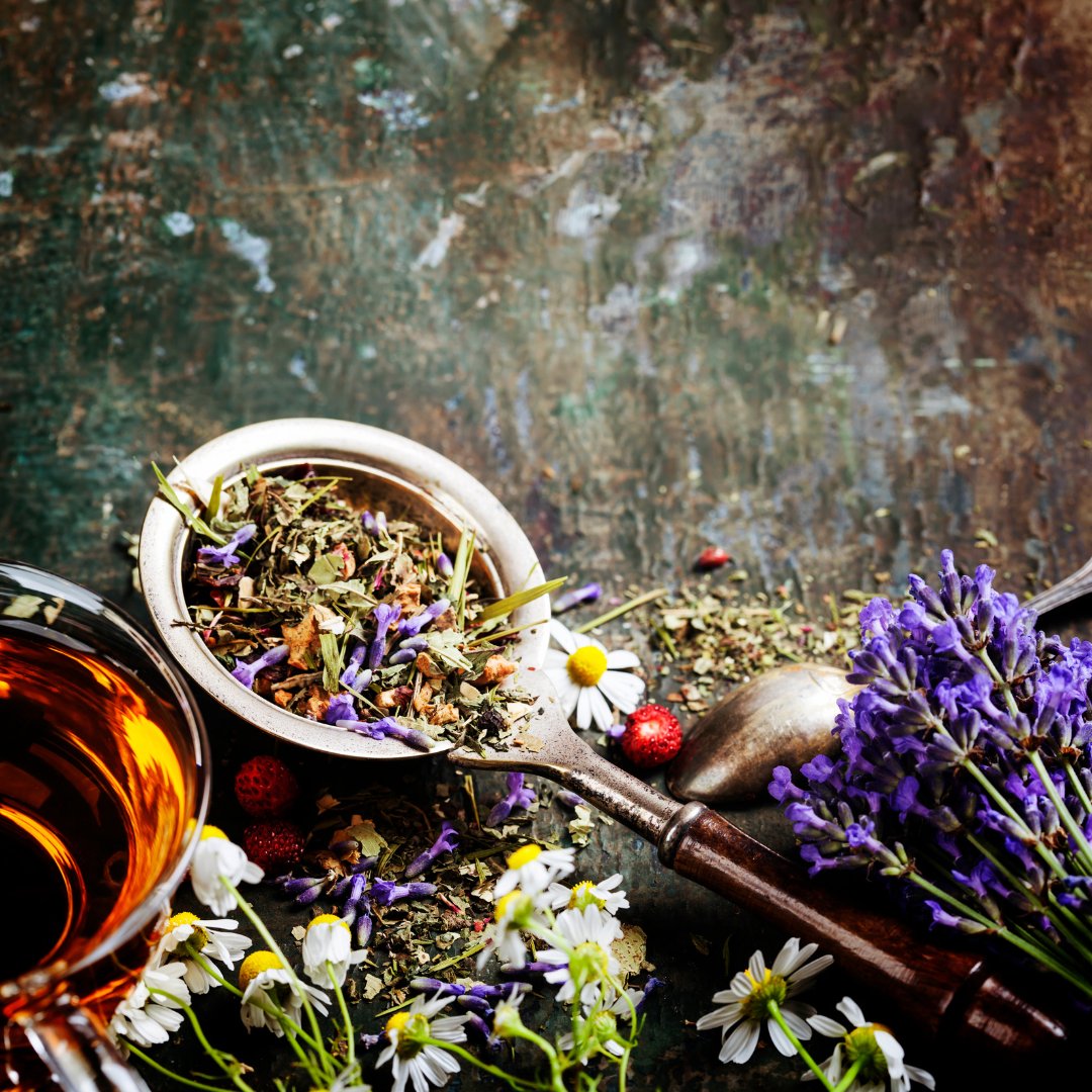 Infusiones